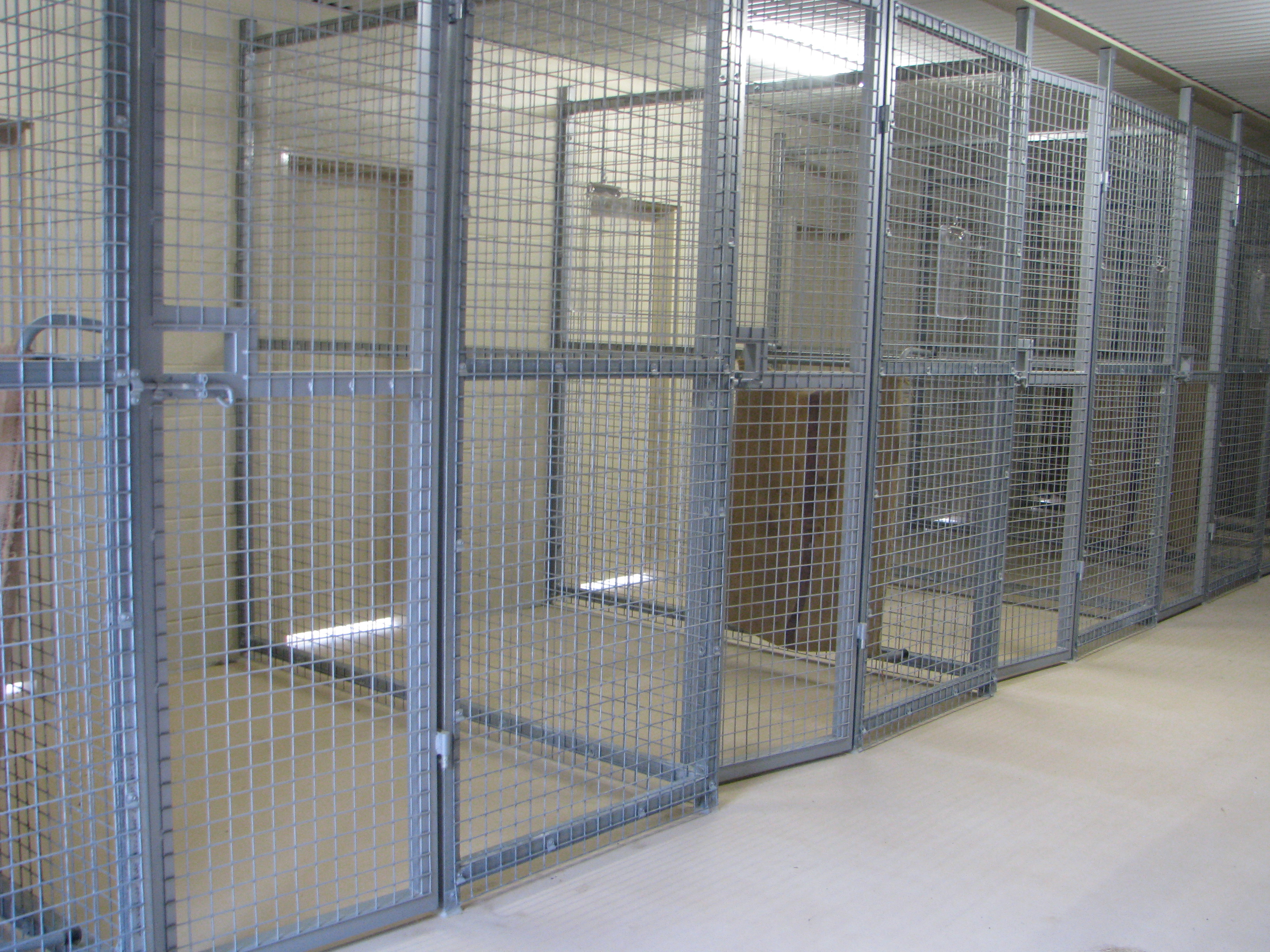 The internal kennels where our guests sleep are extremely large